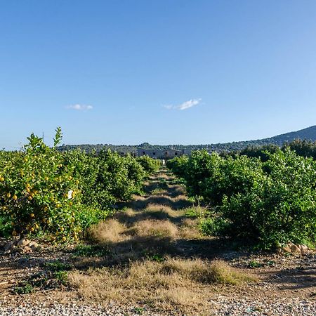 El Limonar De Mallorca - Agroturismo Ballerics Kültér fotó